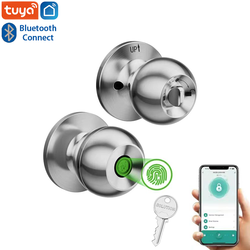 Letter Opener Brass - Bluetooth Tuya App-Steuerung Smart Türschloss schlüssel